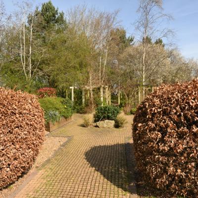 Millennium Garden